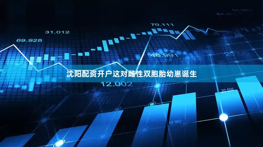 沈阳配资开户这对雌性双胞胎幼崽诞生