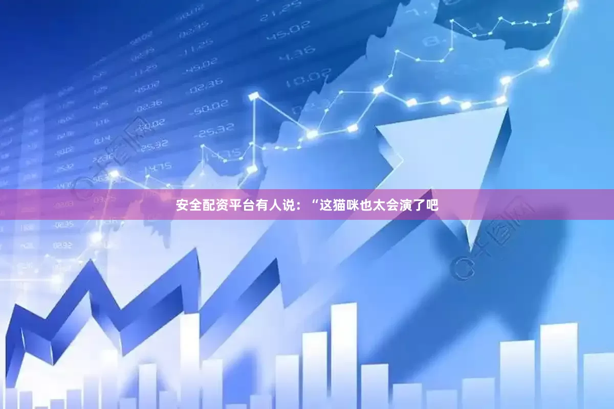 安全配资平台有人说：“这猫咪也太会演了吧