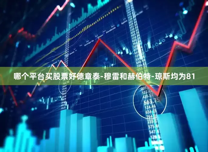 哪个平台买股票好德章泰-穆雷和赫伯特-琼斯均为81